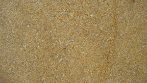 Sandstein Asian Gold Sandquarzstein