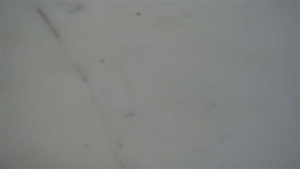 Marmor Bianco Venato Marmor